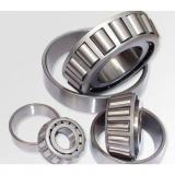 Scheerer RU-5228  Cylindrical Roller Bearings